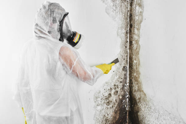 Best Mold Testing  in Claypool Hill, VA