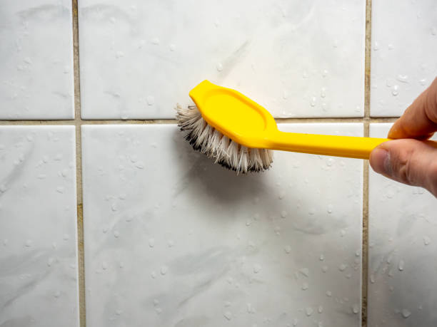 Best Fast Mold Removal  in Claypool Hill, VA