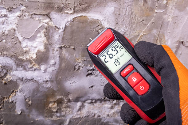 Best Same-Day Mold Removal  in Claypool Hill, VA