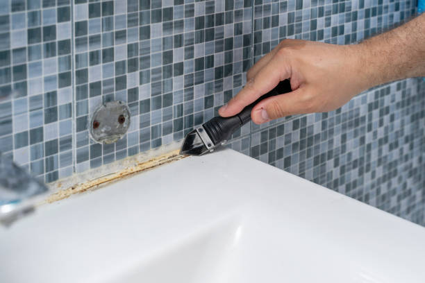  Claypool Hill, VA Mold Removal Pros