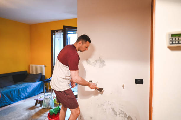 Best Mold Remediation  in Claypool Hill, VA